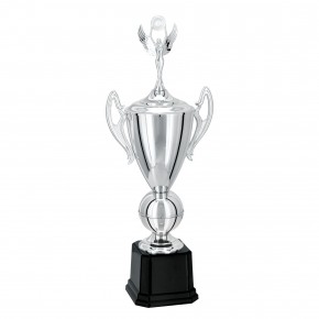 Troféu Prata 76cm