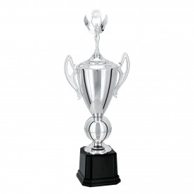 Troféu Prata 76cm